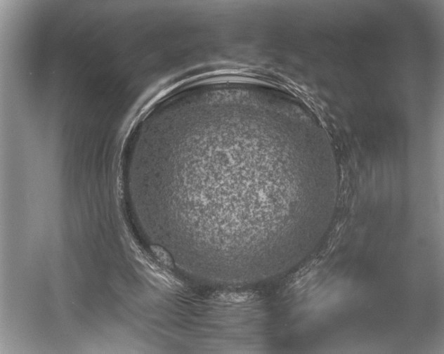 X0000057560247200509191429