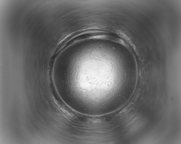 X0000057560249200509191429