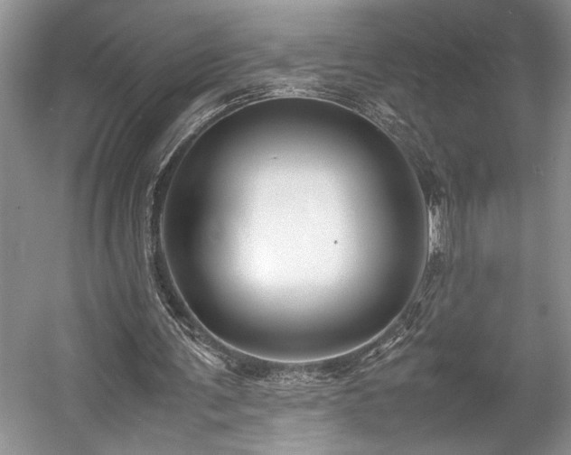 X0000057560291200509191429
