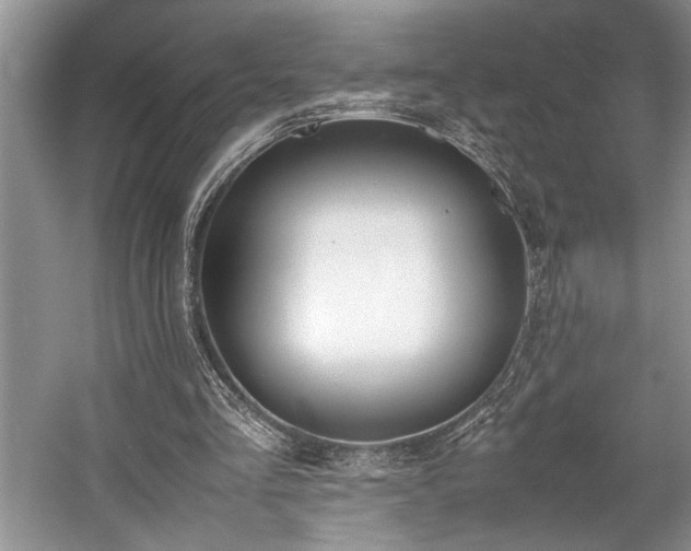 X0000057560293200509191429