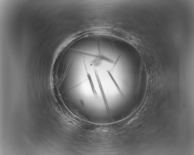 X0000057560294200509191429