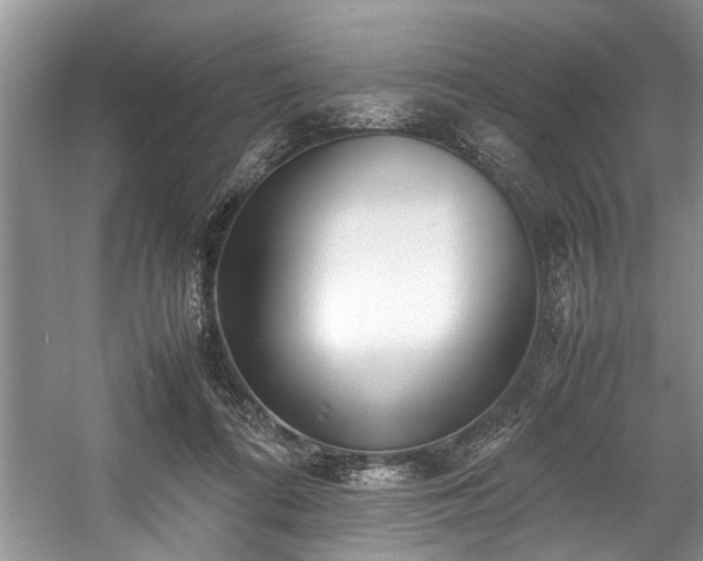 X0000057560312200509191428
