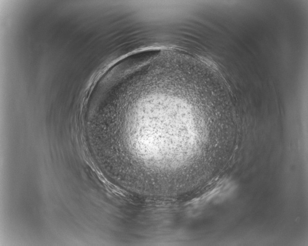 X0000057560337200509191427