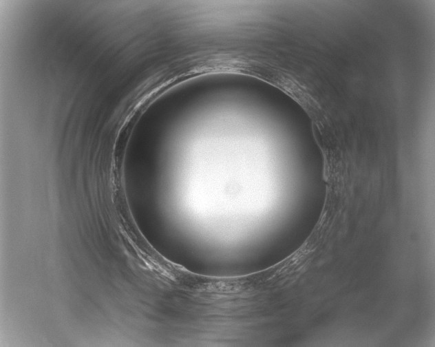X0000057560338200509191427