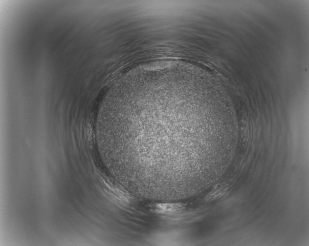 X0000057560371200509191428