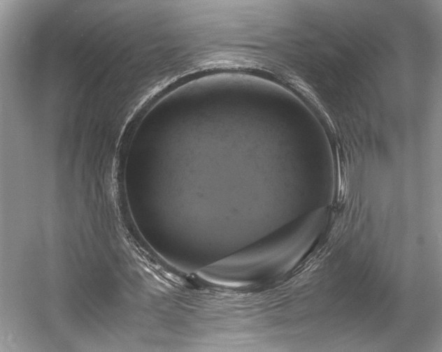 X0000057560387200509191427