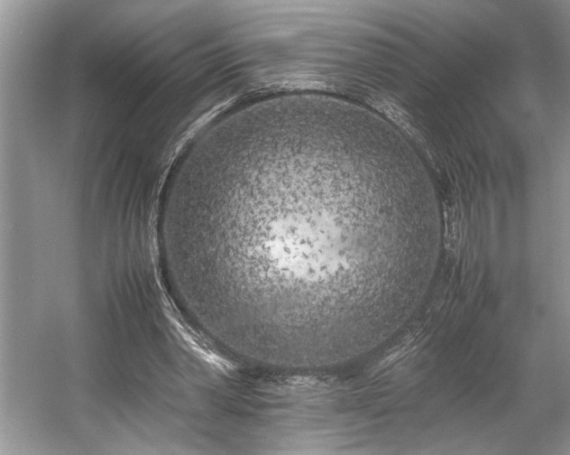 X0000057560390200509191427