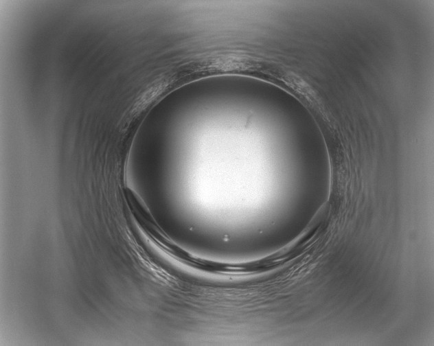 X0000057560393200509191427