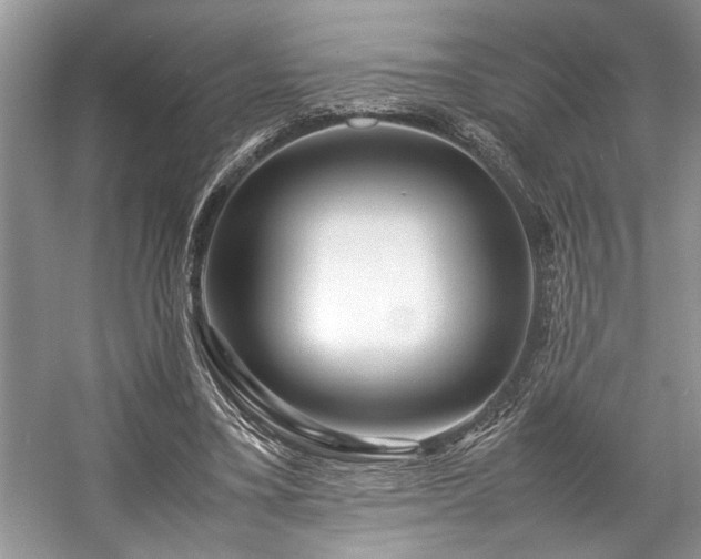 X0000057560395200509191427