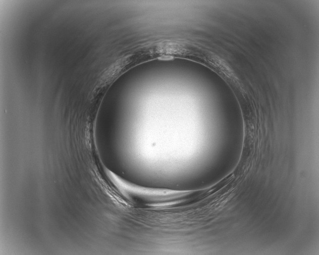 X0000057560401200509191427