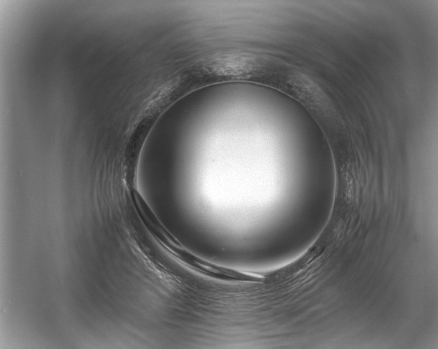 X0000057560404200509191427