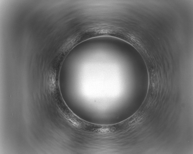 X0000057560406200509191427