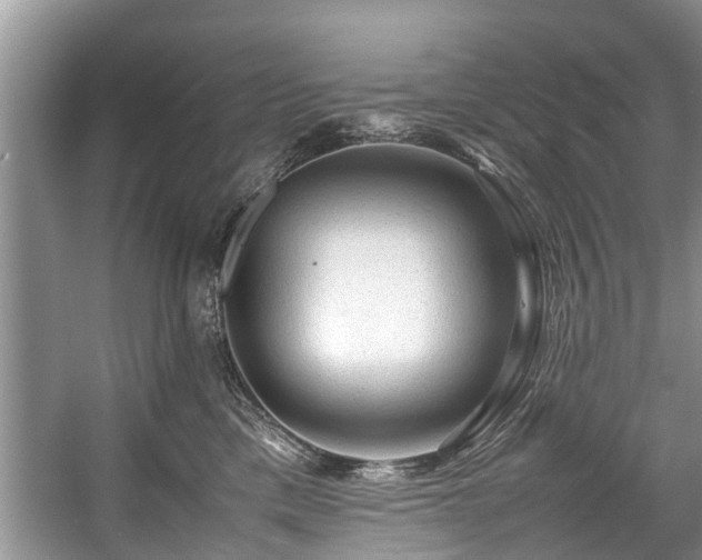 X0000057560425200509191427