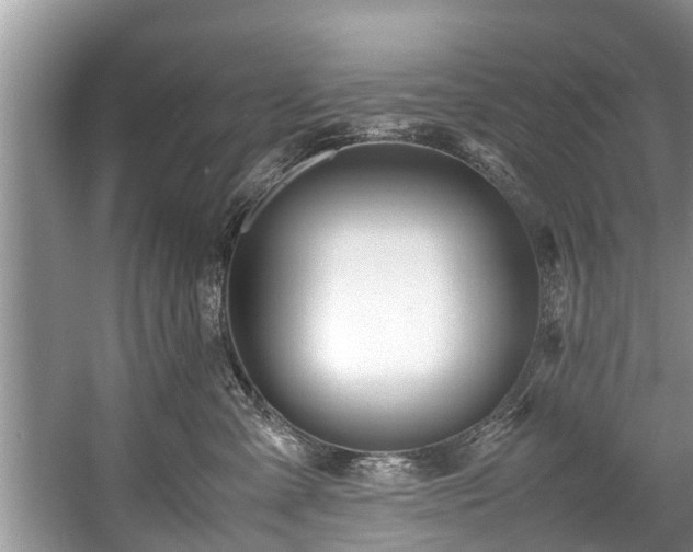 X0000057560427200509191427