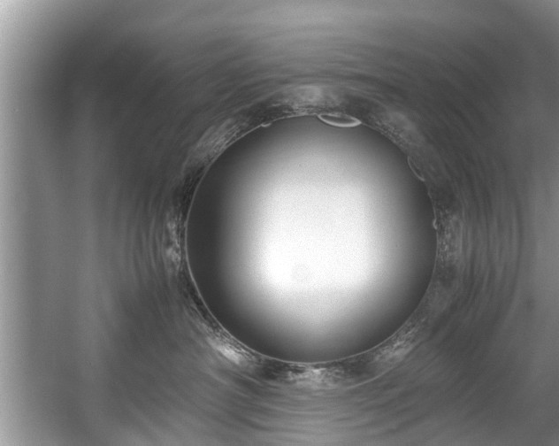 X0000057560430200509191426