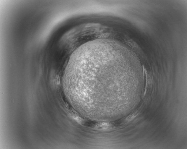 X0000057560431200509191426