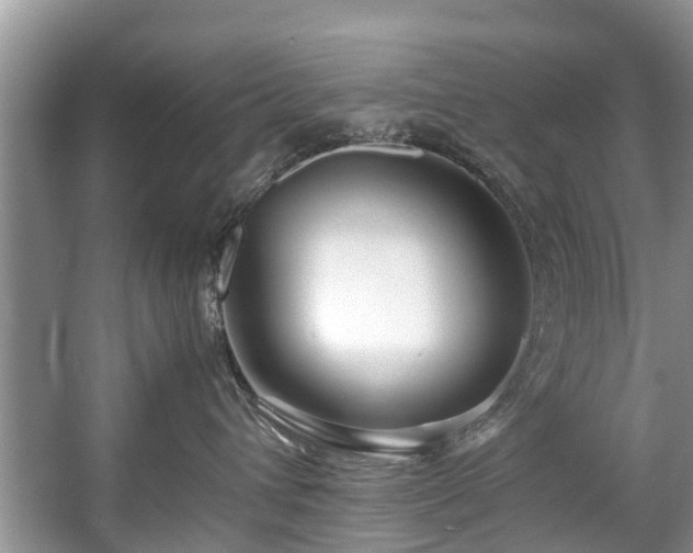 X0000057560432200509191426