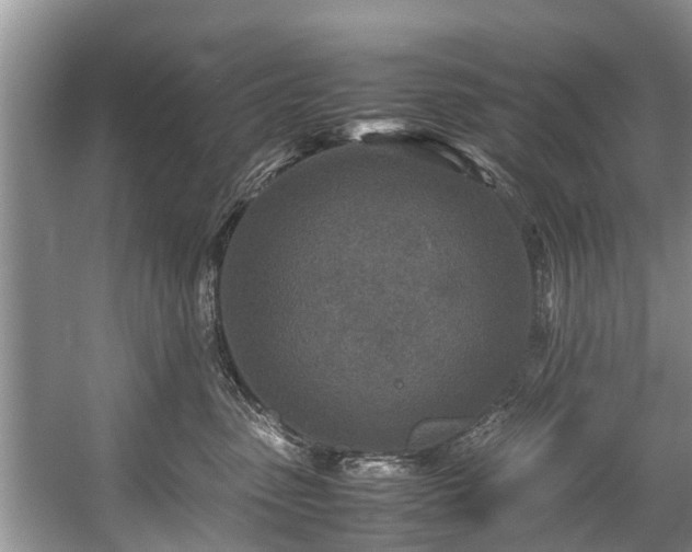 X0000057560475200509191426