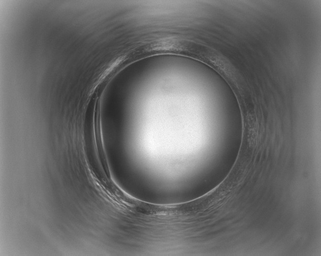 X0000057560482200509191426