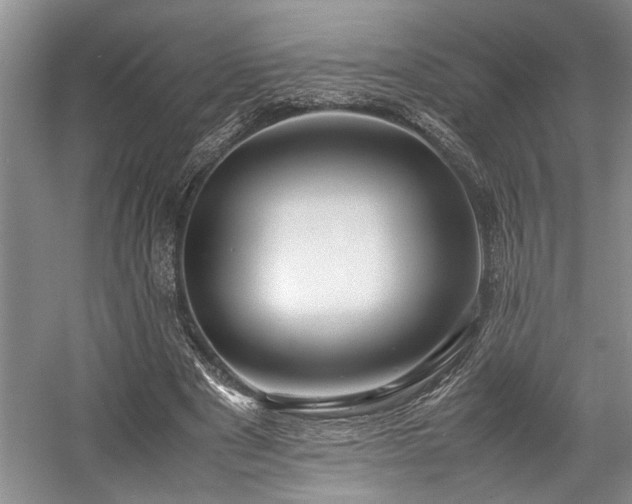 X0000057560489200509191425