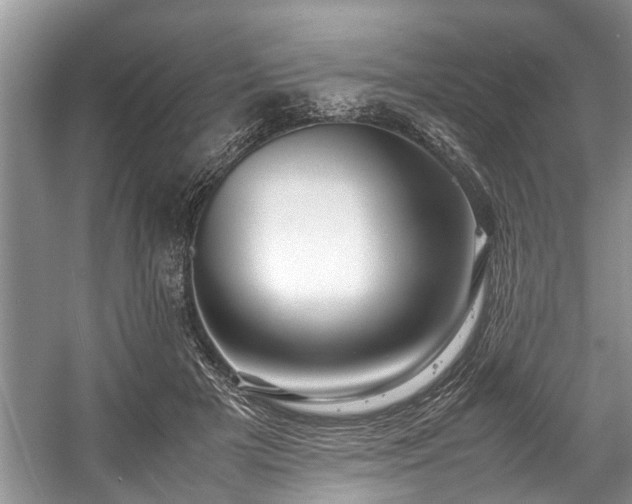 X0000057560505200509191425