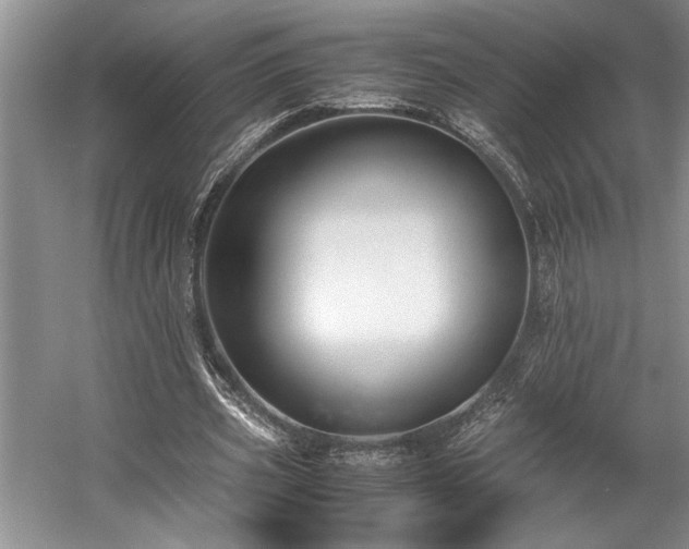 X0000057560533200509191424