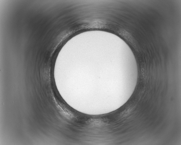 X0000057560534200509191424