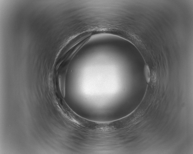 X0000057560540200509191424