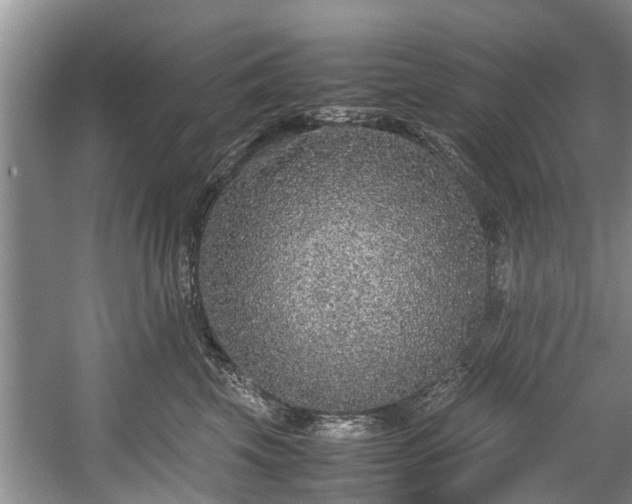 X0000057560569200509191425