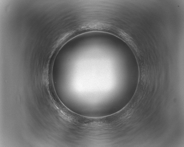 X0000057560578200509191424