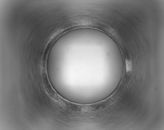 X0000057560579200509191424