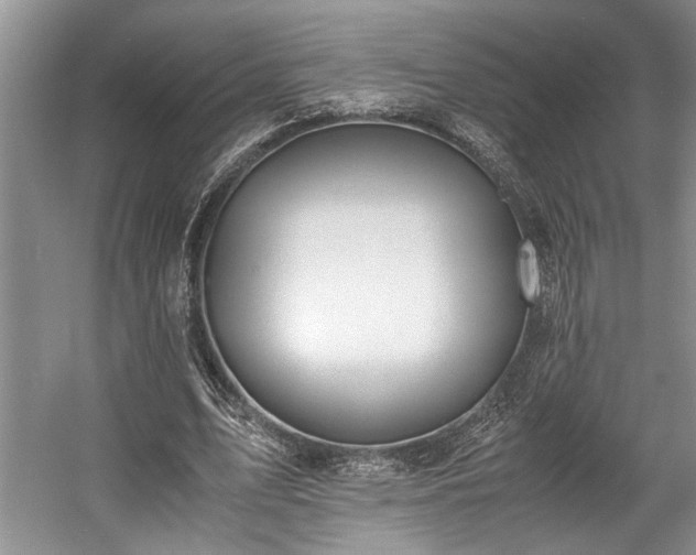 X0000057560583200509191424
