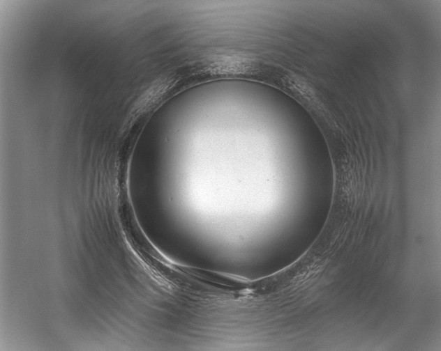 X0000057560586200509191424