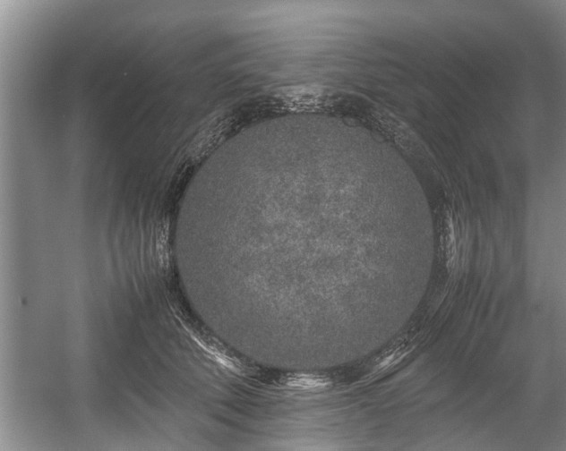 X0000057560610200509191423