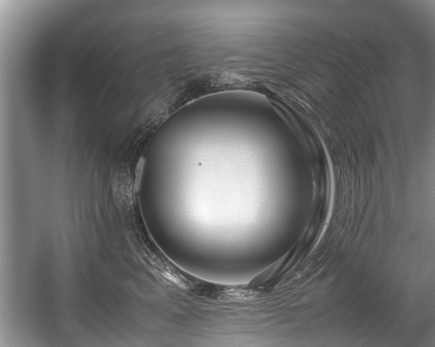 X0000057560617200509191423