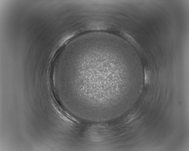 X0000057560627200509191422