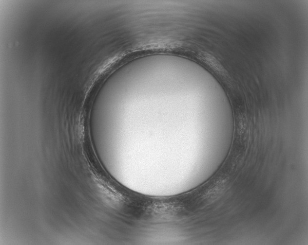 X0000057560632200509191422