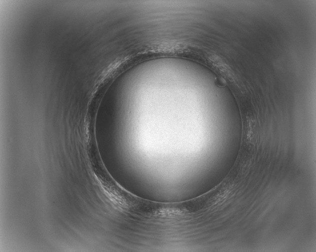 X0000057560636200509191423