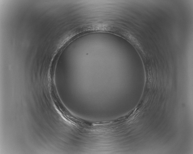 X0000057560674200509191422