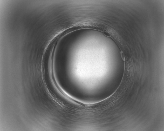 X0000057560680200509191422