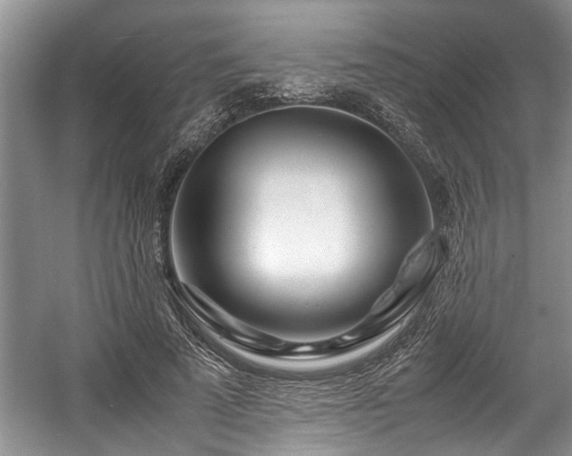 X0000057560689200509191422