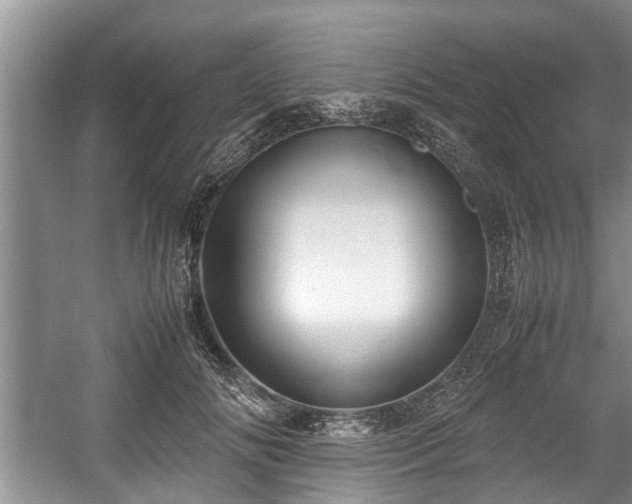 X0000057560702200509191422
