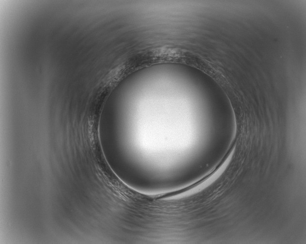 X0000057560708200509191422