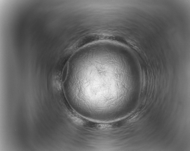 X0000057560719200509191422