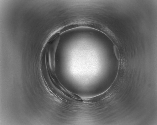 X0000057560724200509191421