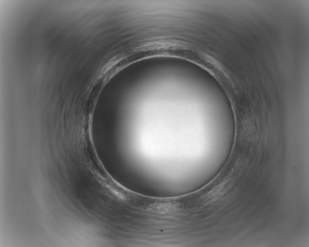 X0000057560778200509191421