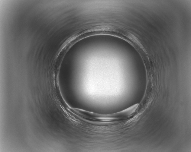 X0000057560781200509191420