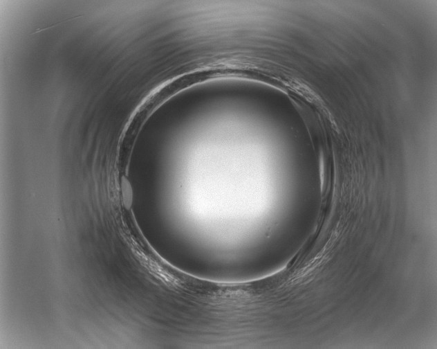 X0000057560784200509191420