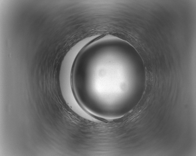 X0000057560818200509191419