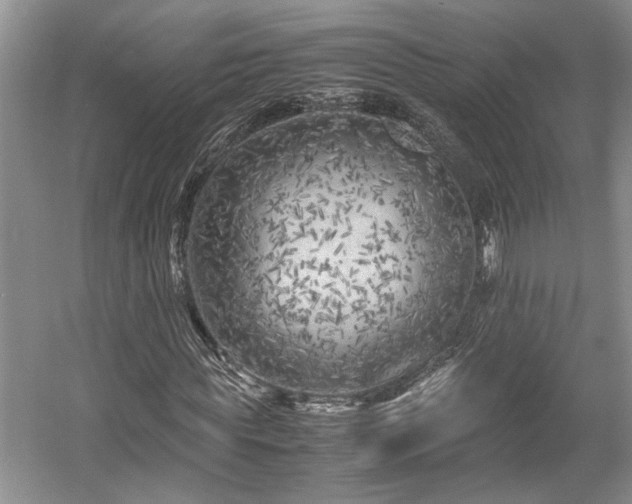 X0000057560819200509191419